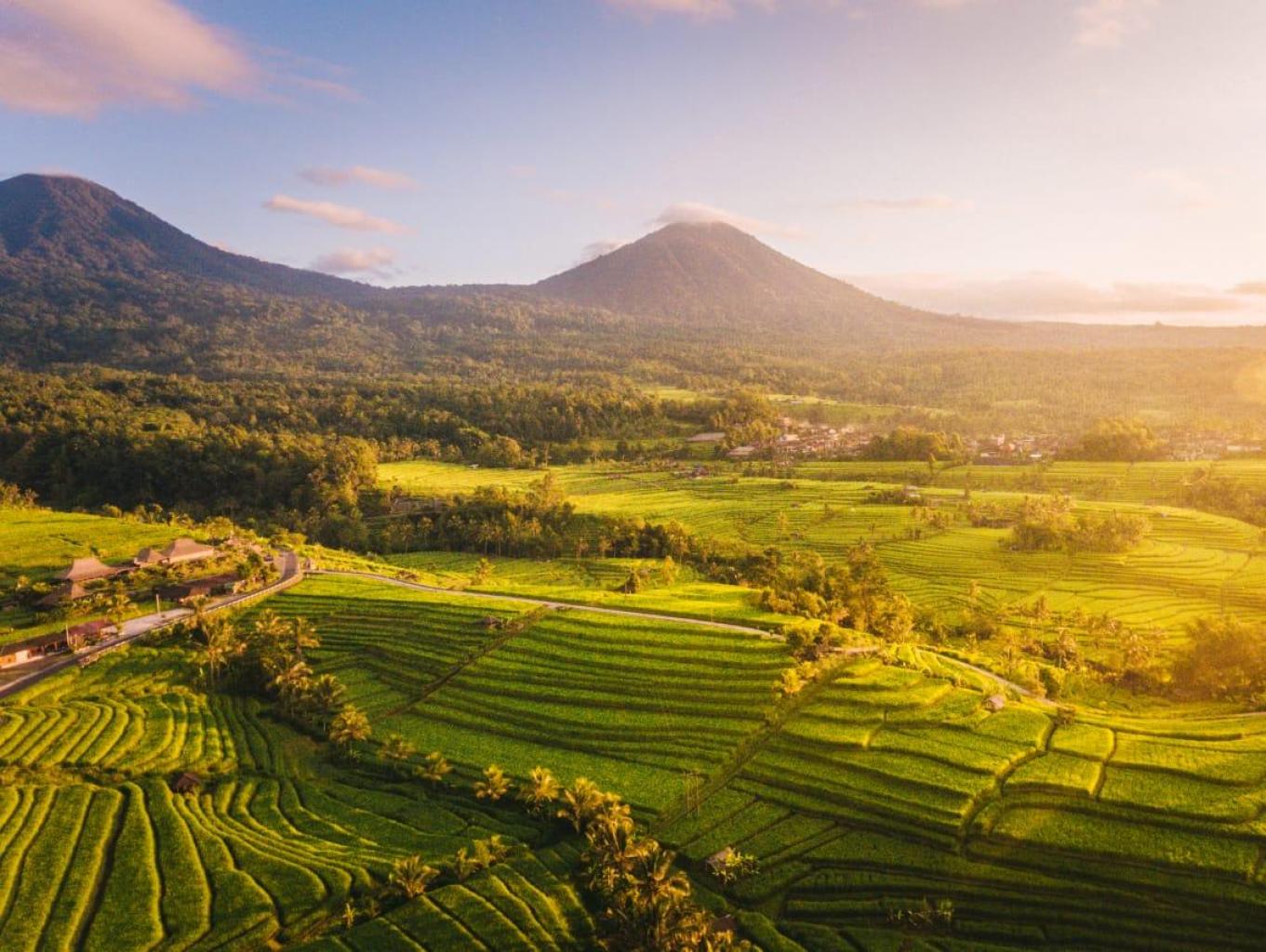 Alam Desa Gedong yang Asri
