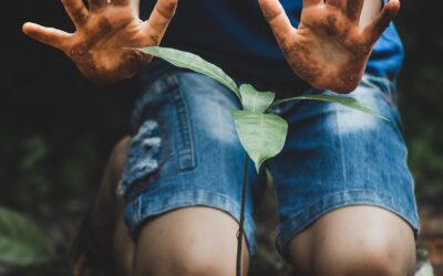 Perubahan Sosial akibat Program Bantuan Sosial di Desa Gedong