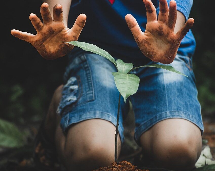 Perubahan Sosial akibat Program Bantuan Sosial di Desa Gedong